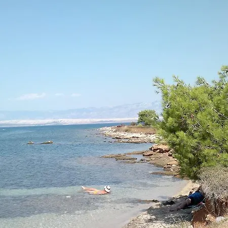 Apartman Dada Vir